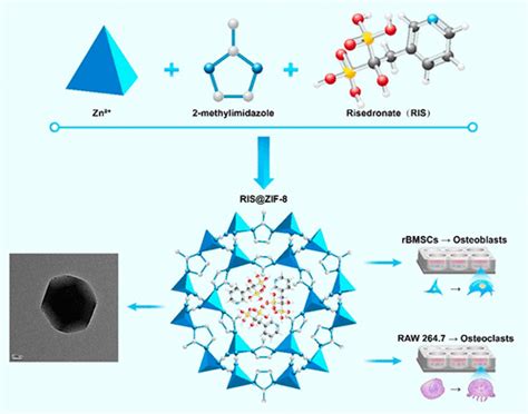 Zeolitic Imidazolate Framework Encapsulating Risedronate