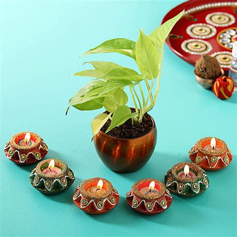 Buy Send Money Plant Matki Wax Diyas Online Ferns N Petals