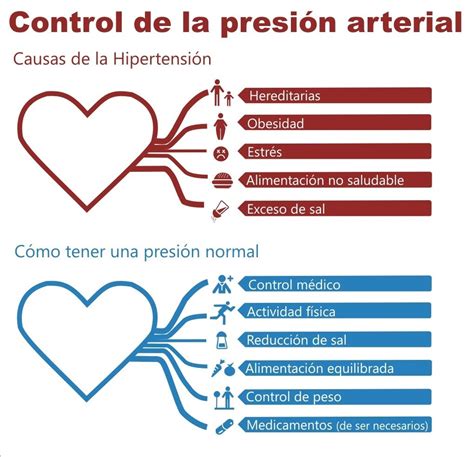 17 De Mayo Día Mundial De La Hipertensión Arterial