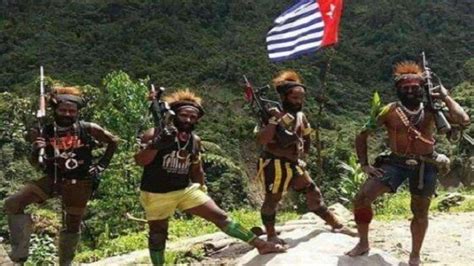 Aksi Brutal KST Menghambat Pembangunan Di Papua Lembaga Studi