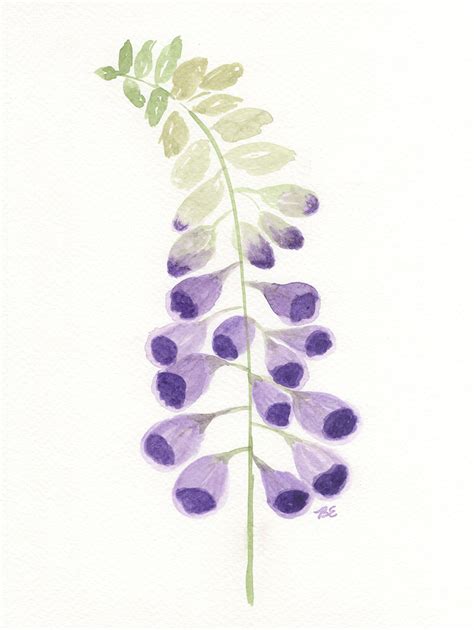Purple Foxgloves Plays Well With Color