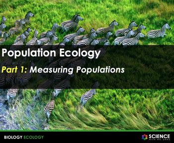 Population Ecology & Population Dynamics Unit Presentation PPT | TPT