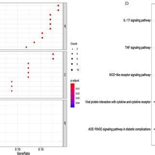 GO Functional And KEGG Pathway Enrichment Analysis A Biological