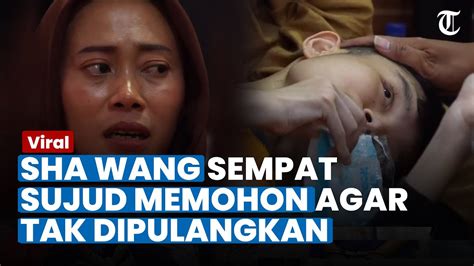 Sampai Sujud Ke Siti Tki Sha Wang Memohon Agar Tak Dipulangkan Ke