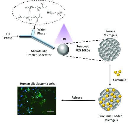 Schematic Illustration Of Microfluidics Based Fabrication Of Porous