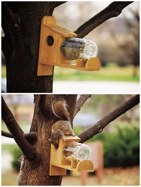 15 Cool Diy Squirrel Feeder Ideas Diycraftsguru