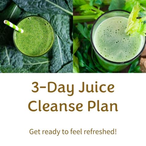 10 Best Juice Cleanse Recipes Fitness Mind