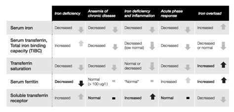 How to understand Iron Panel in my blood report? | by pratik lodha ...