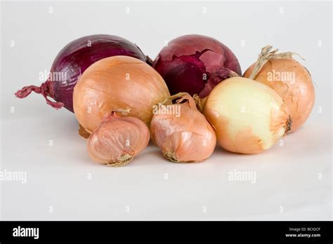 White Onions And Red Shallots Hi Res Stock Photography And Images Alamy