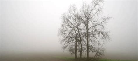 Meteo Faenza Previsioni Fino A Giorni Meteoplanet It