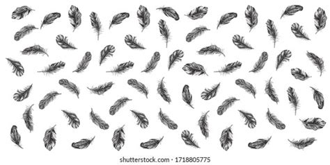 Vector Black White Feather Pattern Stock Vector (Royalty Free ...