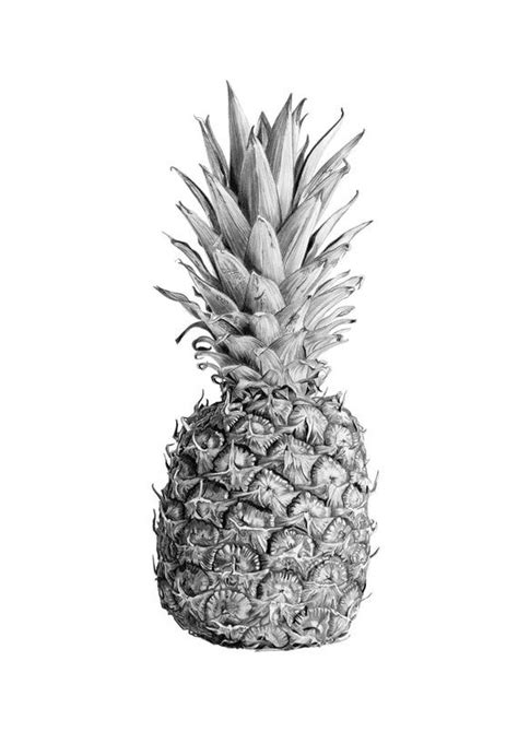 Pineapple Art Print Graphite Drawing Giclée Black And White Fruit Brandon Andrews Art Etsy