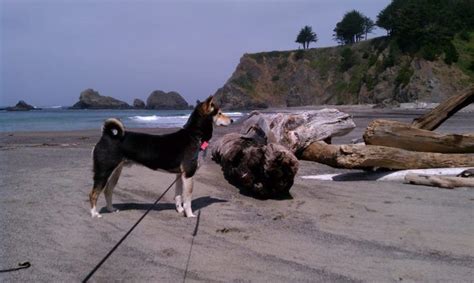 Glorious Campgrounds In Northern California Where No Reservation Is