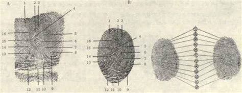 古代根本沒有指紋識別技術，為什麼還要有簽字畫押這個步驟？ 每日頭條