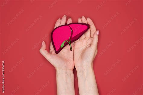 Hands Holding Human Liver Organ And Pills World Hepatitis Day