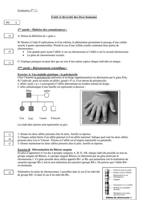 Devoir Maison Svt 3eme Chromosomes Ventana Blog