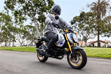 Honda Grom On The Highway