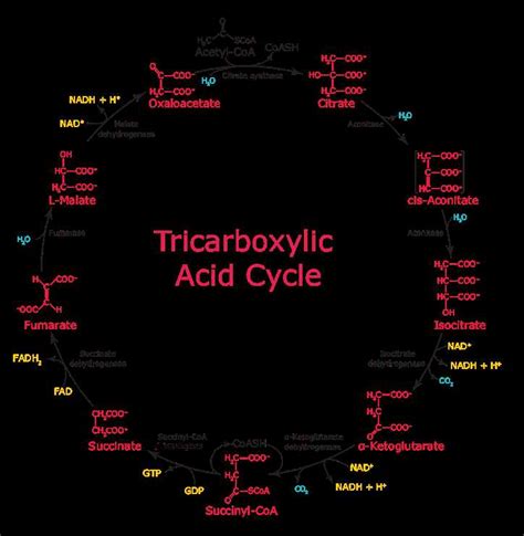 Understanding Energy Transformation in Chemistry Diagrams