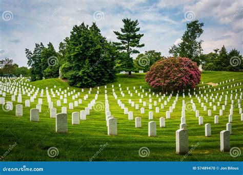 Rows of Graves at the Arlington National Cemetery, in Arlington ...