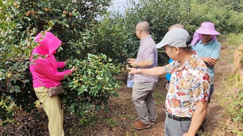 定南县油茶协会到安远县考察交流油茶改造工作 Isenlincn