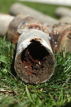 Common Sewer Line Problems Worry Free Plumbing Heating Experts