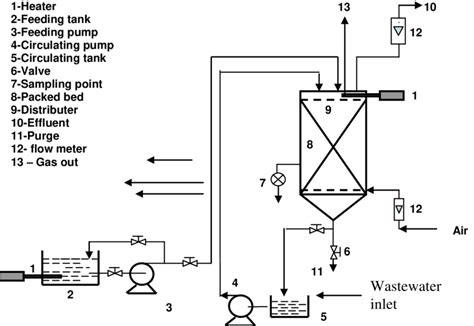 Schematic diagram of the packed bed system. | Download Scientific Diagram