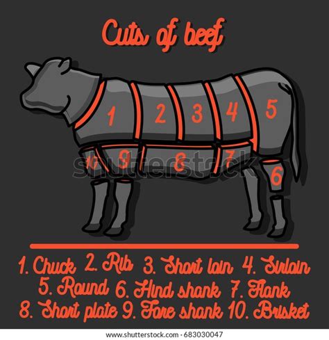 Cut Beef Set Poster Butcher Diagram Stock Illustration 683030047