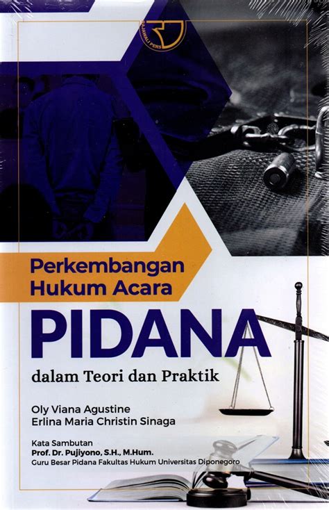 Jual Buku Perkembangan Hukum Acara Pidana Karya Oly Viana Agustine