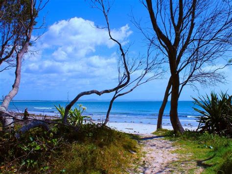 Shark Bay Nsw Government