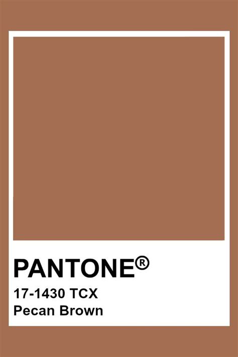 PANTONE 17 1430 TCX Pecan Brown Color Palette