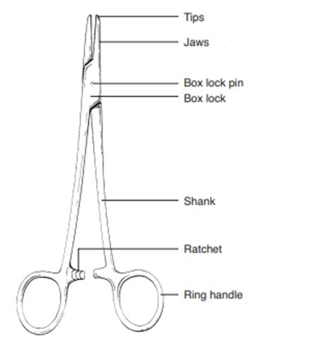 Instrument Identification Flashcards Quizlet