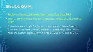 Distrofia Distonia Y Miopatias Musculares PPT Descarga Gratuita