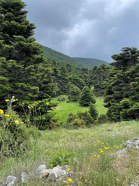 Public Transport Guide: Reaching the Leicester Tesco Extra by Bus 1