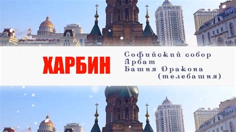 kitai xarbin viktoriia frolova vk video