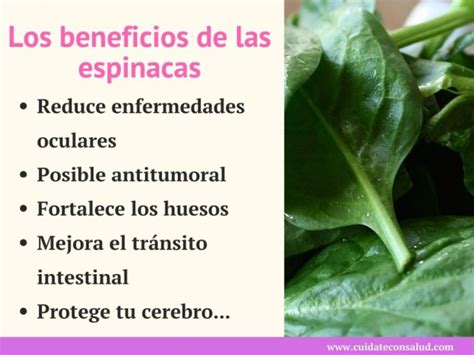 12 Increíbles Beneficios De La Espinaca ⇒ 【Únicos】 🥇