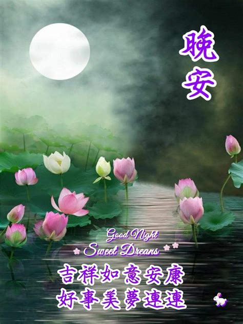 Pin by Yen Lin Lim on 19 晚安Choo小白兔 Good night sweet dreams Good