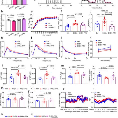 PGK1 Mediates Glucose Metabolism In Cells And Aggravates PCOS Like