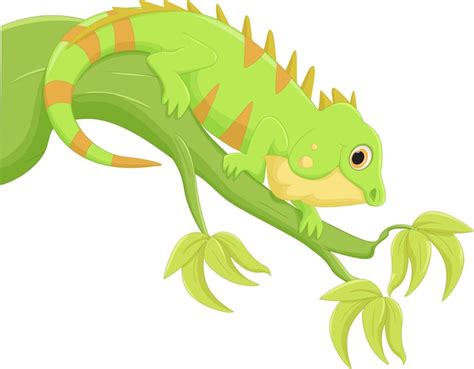 Dibujos Animados De Iguana Vector Premium