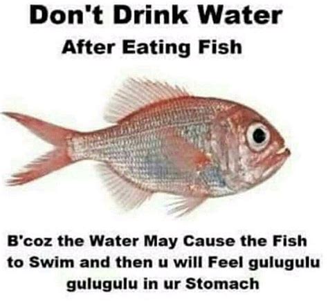 Gulugulu confirmed - Meme by soymod3 :) Memedroid