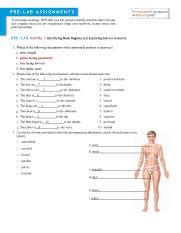 Masteringa P Pre Lab Quiz Body Regions Surface Anatomy Course Hero