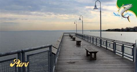 8 Best Fishing Piers In Galveston Captain Dixon