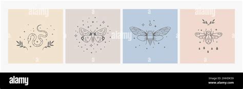 Boho Logo Design Geometrie Linie Insekten Mystische Symbole Mit