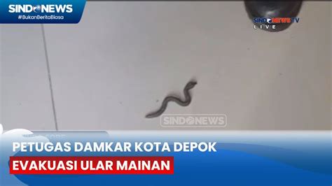 Momen Lucu Petugas Damkar Kota Depok Evakuasi Ular Mainan Sindo Sore