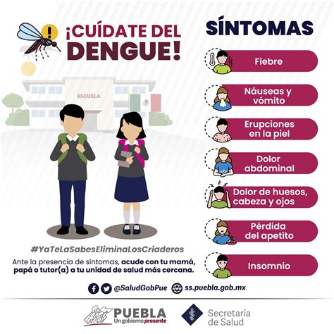 En Puebla Personas Hospitalizadas Por Dengue Salud Poder Noticia