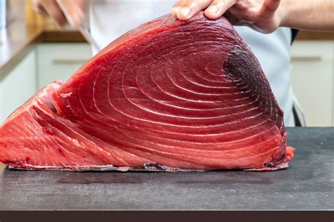 The Most Expensive Tuna Species In The World Blog Berichh