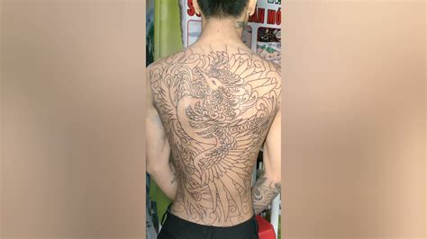 Phượng Hoàng Full Lưng Gà Tattoo Tất Tần Tật Các Tài Liệu Về Hình Xăm