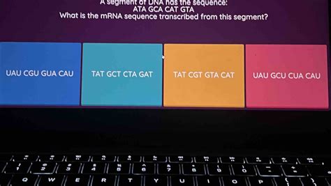 Solved A Segment Of Dna Has The Sequence Ata Gca Cat Gta What Is The