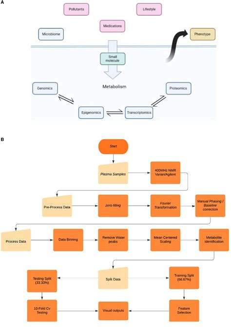 Frontiers Application Of Novel Ai Based Algorithms To Biobank Data