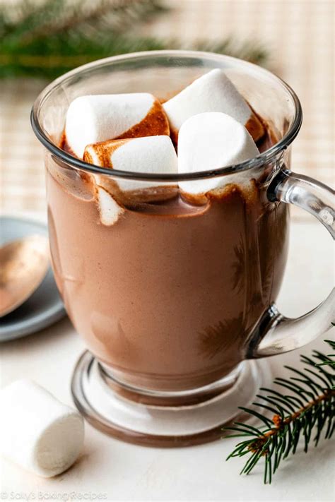Homemade Slow Cooker Hot Chocolate Ulkse
