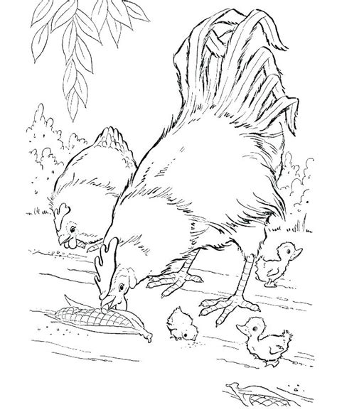 Realistic Baby Animal Coloring Pages At Free